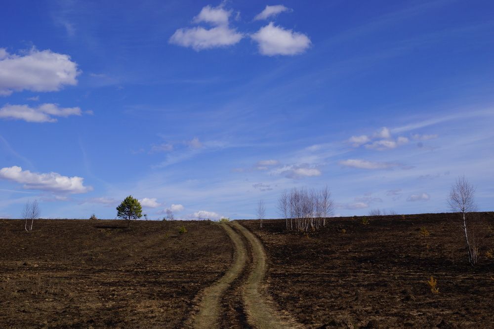 по сгоревшему пути