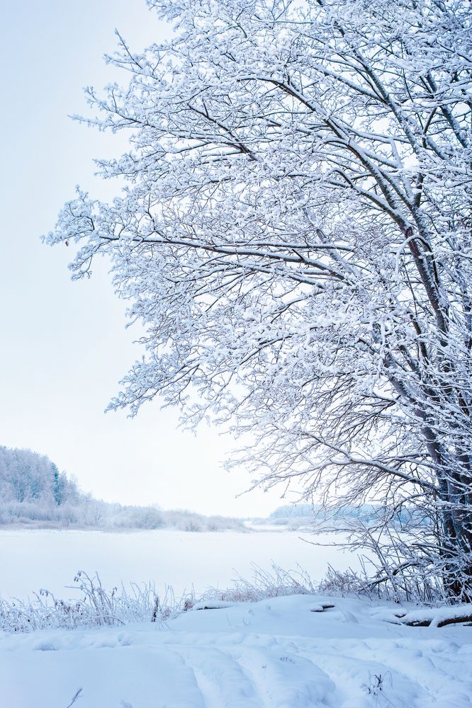 Photograph by Анна Кесарева