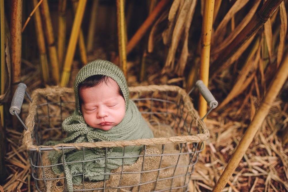 Baby in the basket
