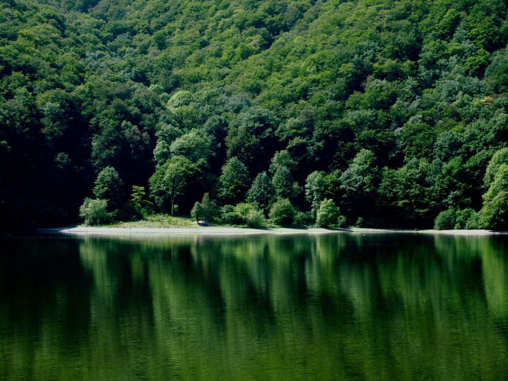 a glimpse of paradise