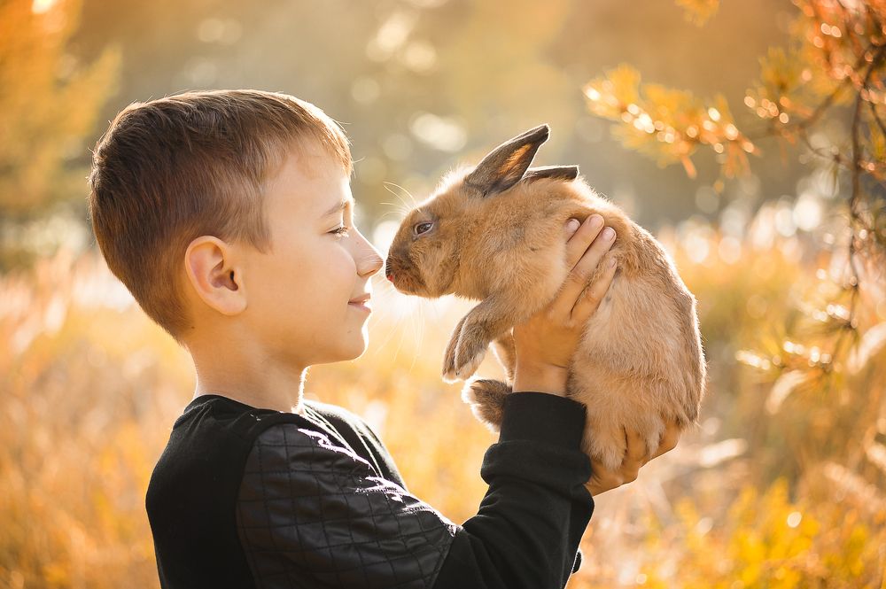 Что такое - Доброта