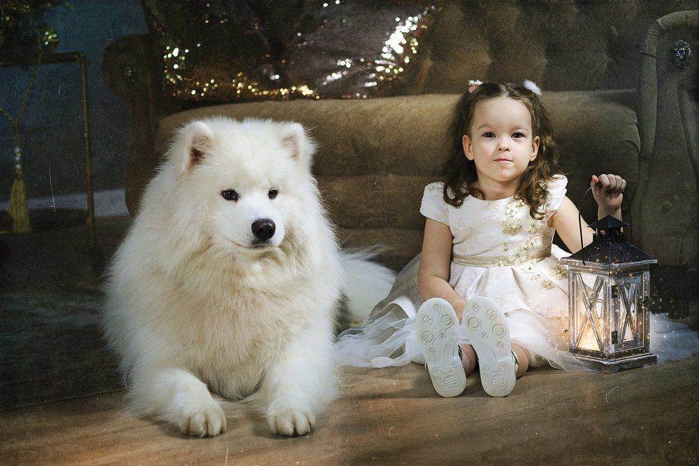 Photograph by Ксения Лысенкова