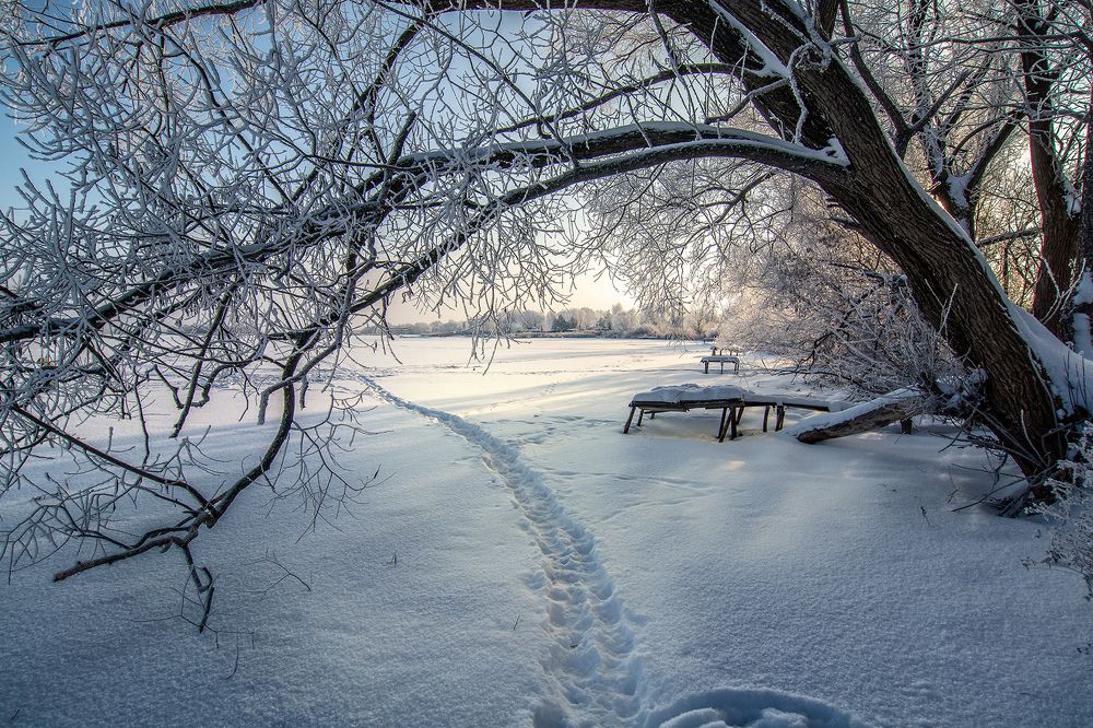 Рыбацкая заводь. Зима