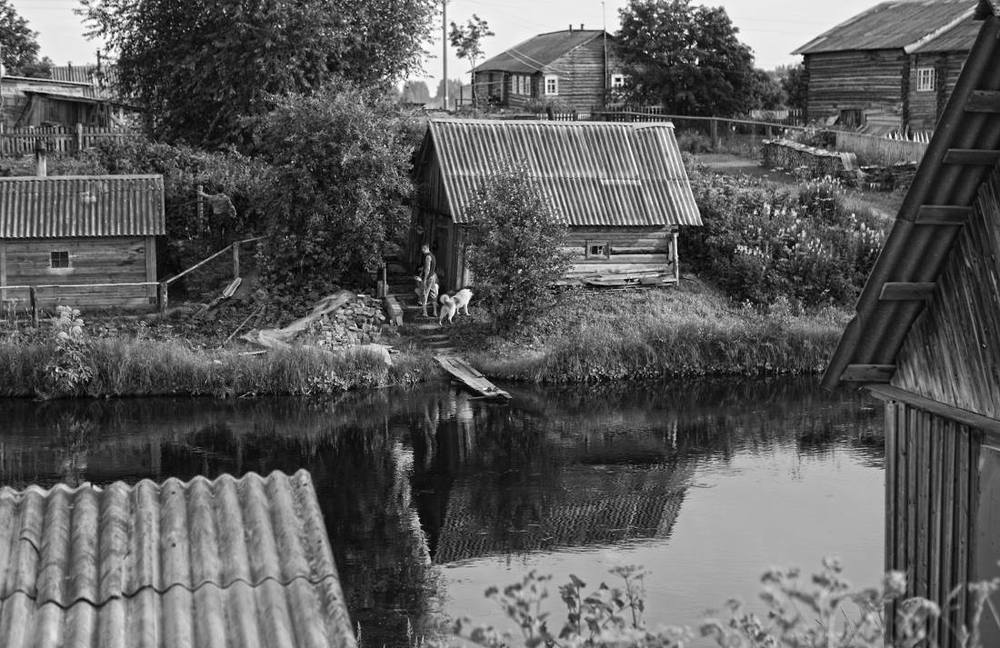 Русский Север, р.Шелекса, д.Конец