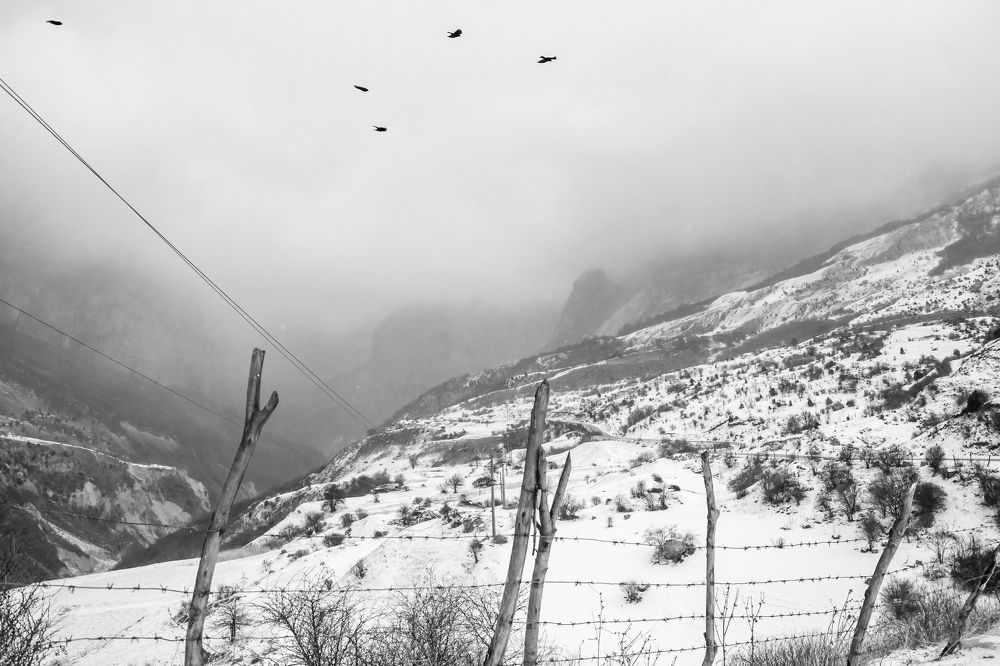 Воля и неволя...