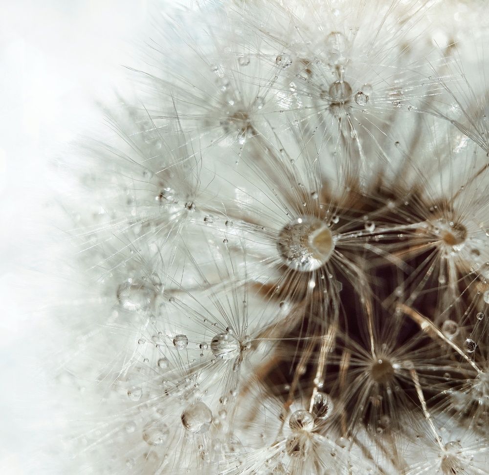 Белый космос