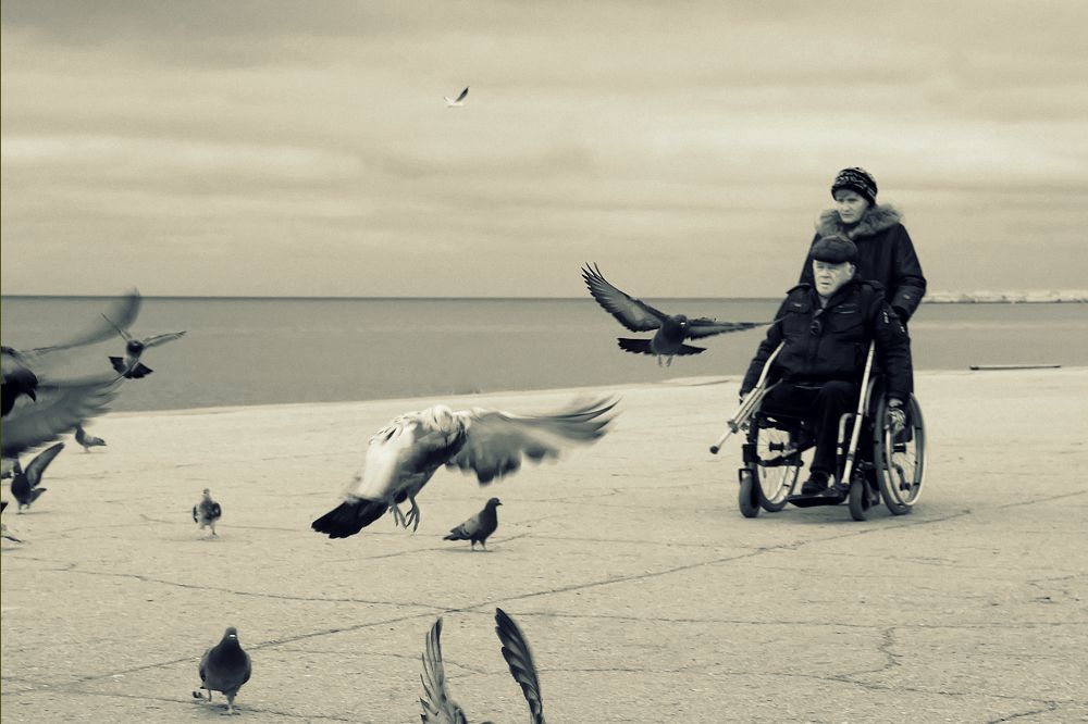 Рожденные летать