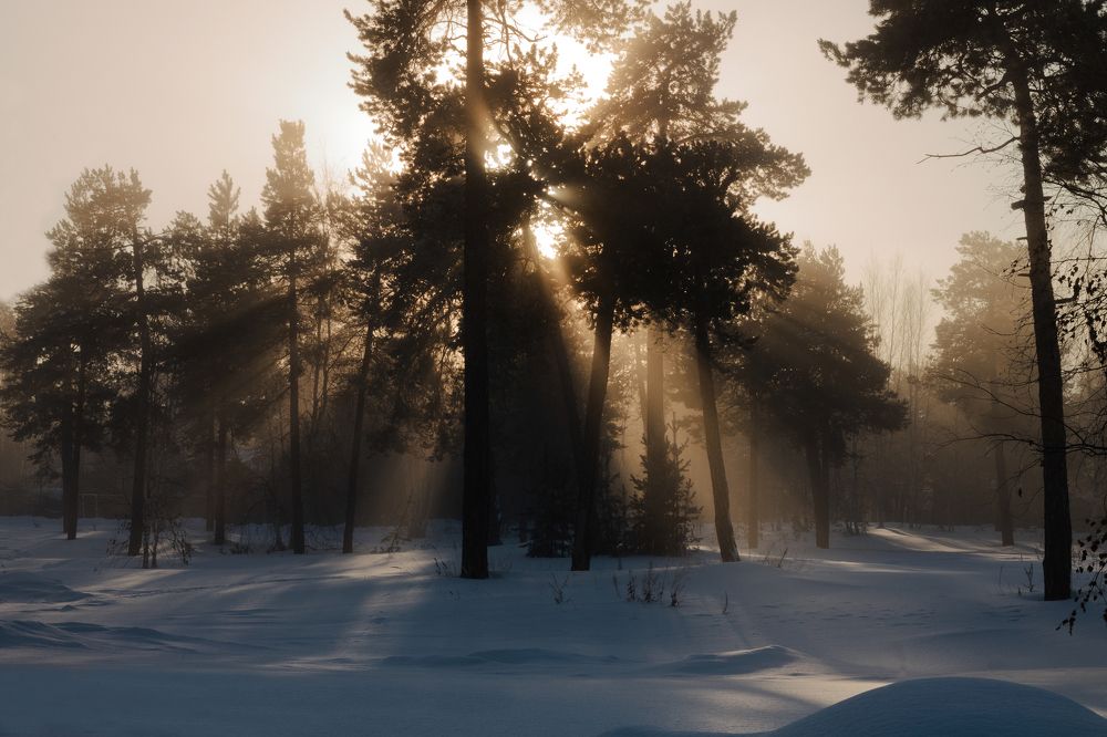 Январский туман