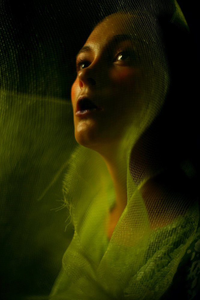 Фотография автора Семен Евлантьев