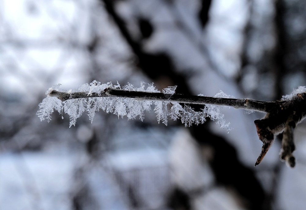 Photograph by Анна Панкратова