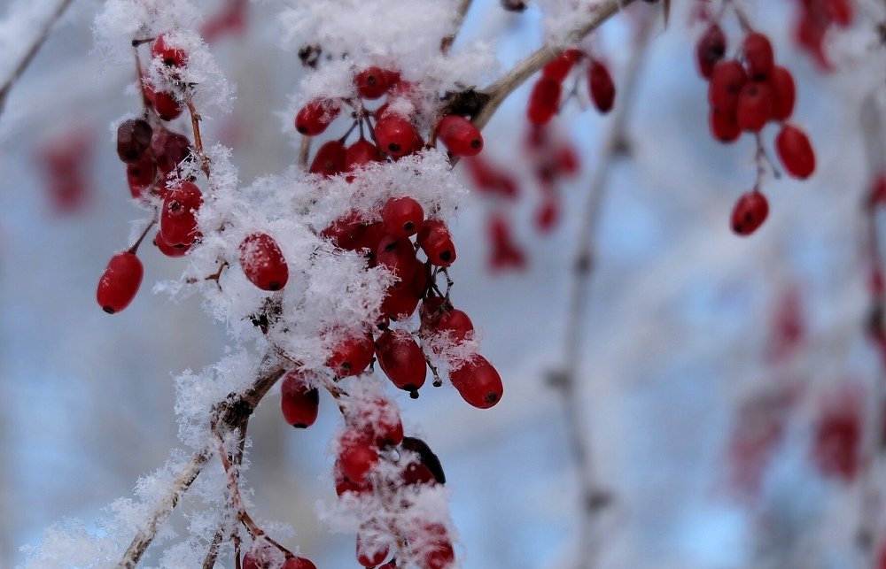 Photograph by Анна Панкратова