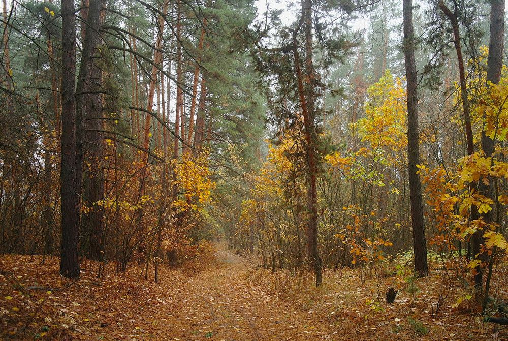 Autumn
