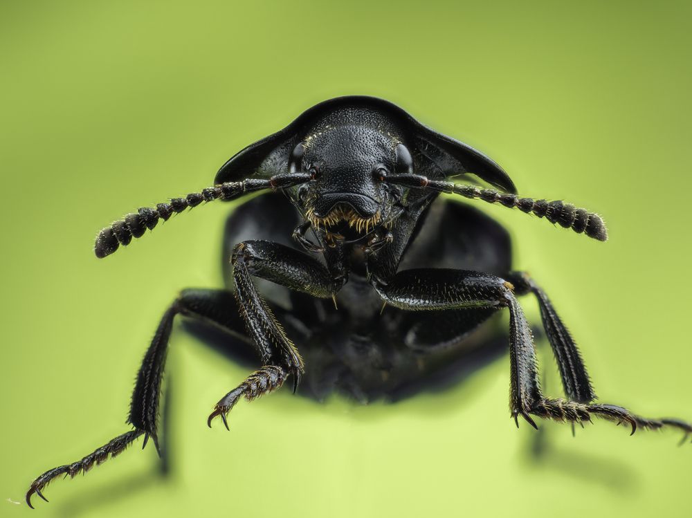 Photograph by Photons Reflectitur