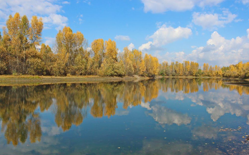 Осенняя гармония.