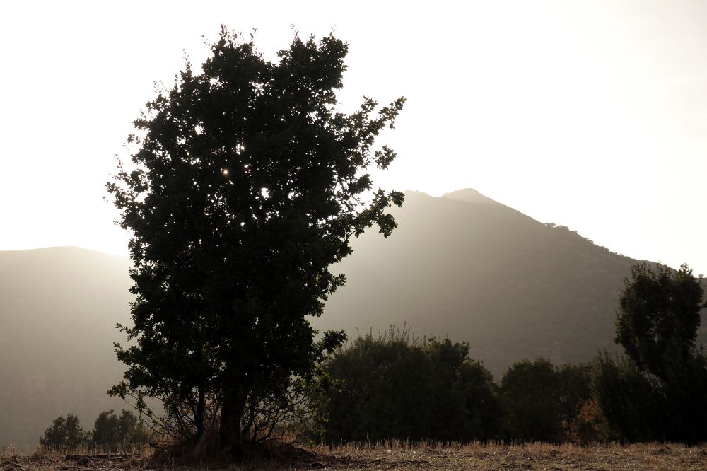 Photograph by omid zarei