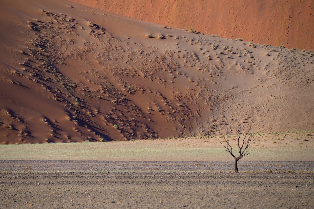 Colorful Sand Dunes