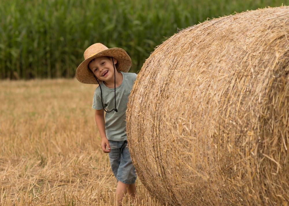 Начинающий фермер