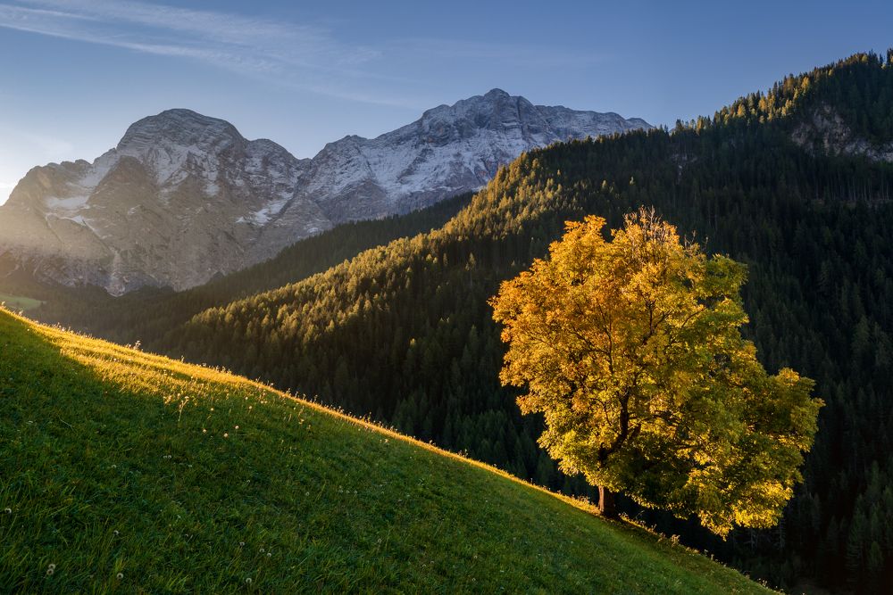 Autumn in the Dolomites.