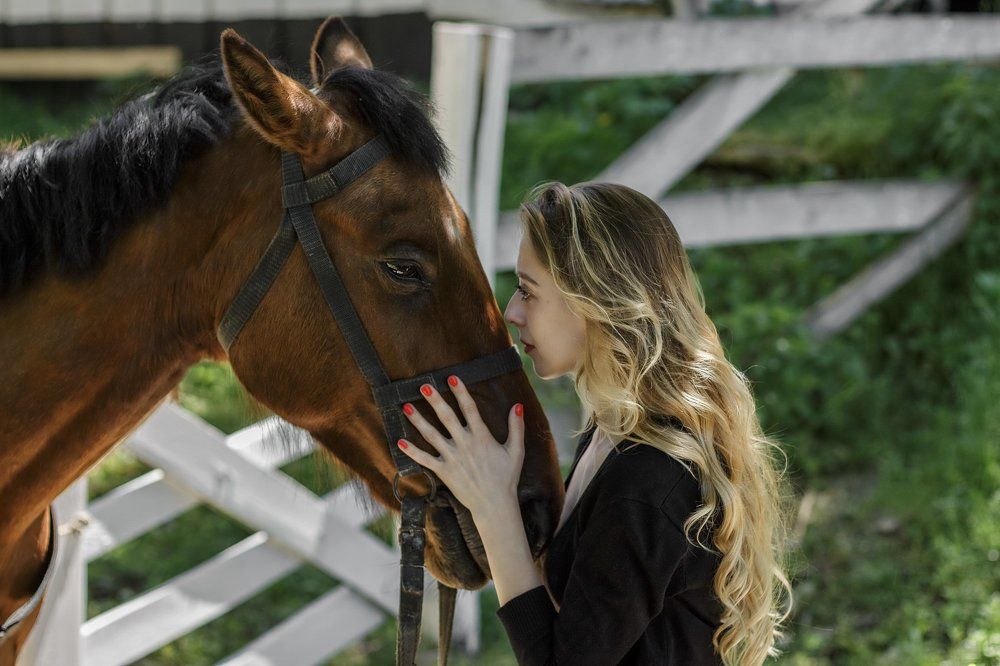 Мой отважный друг