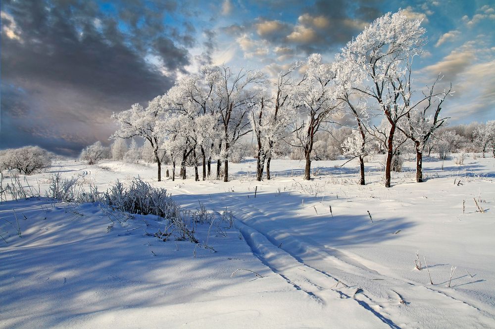 Photograph by Андрей Ефимов