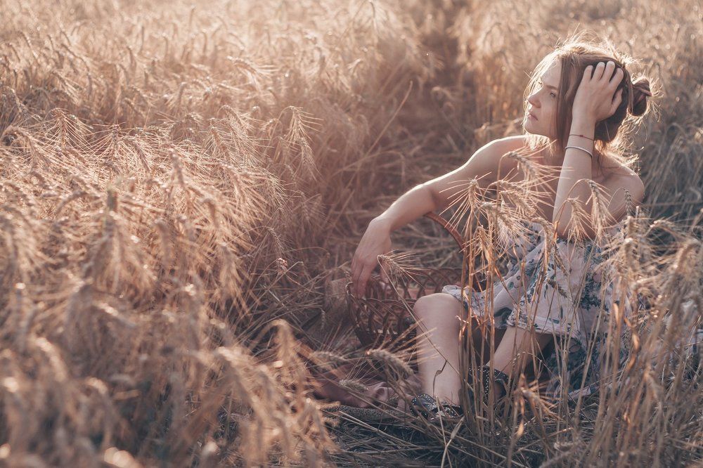 Закатная пшеничная