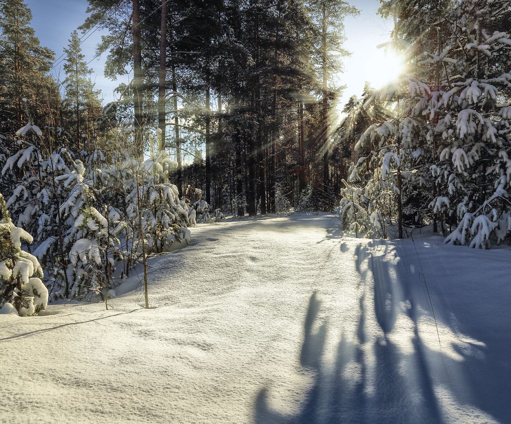 Зимний солнцеворот