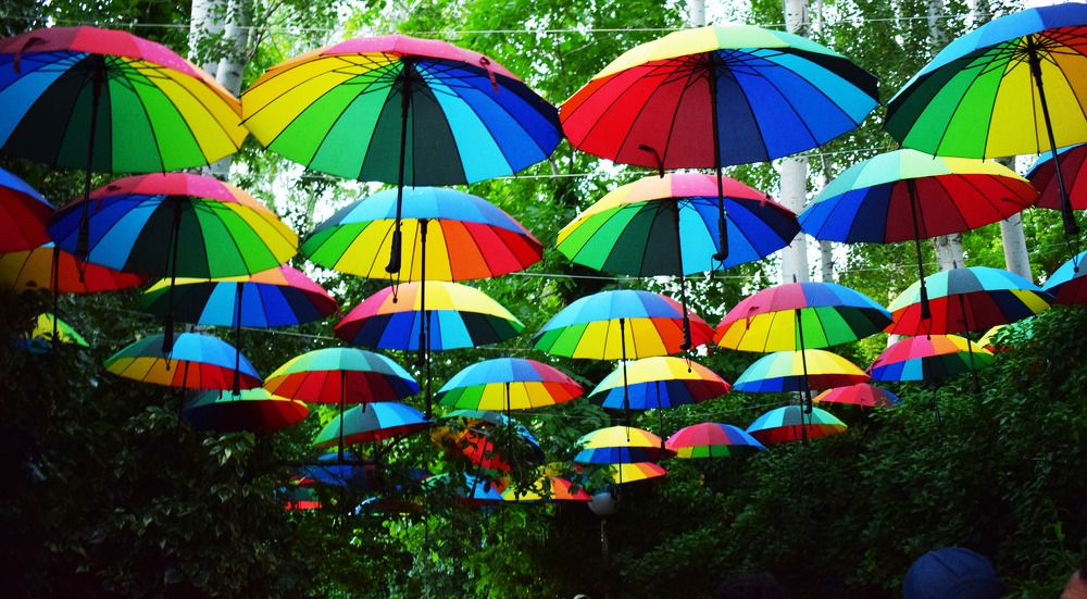 Raining umbrellas