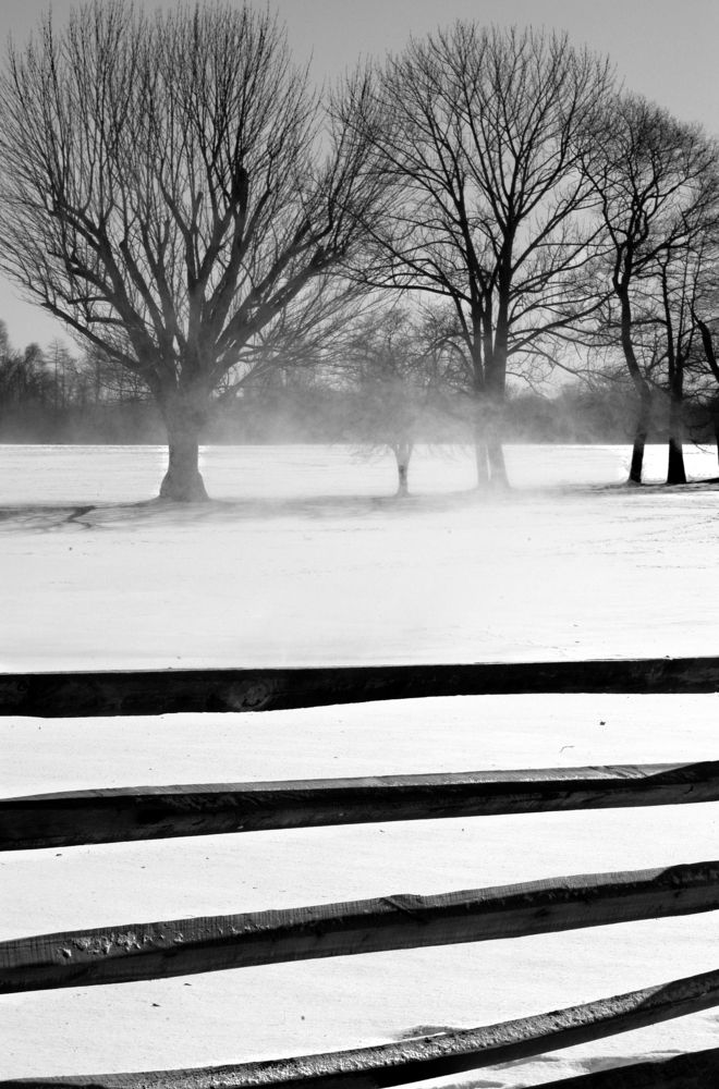 Черно-белая зима (4)