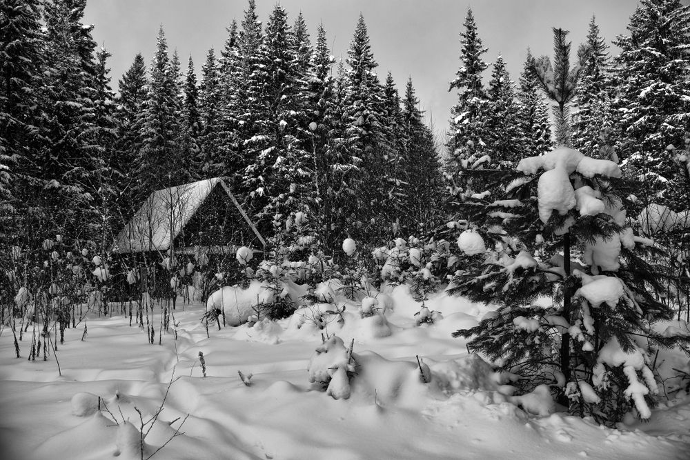 зимняя сказка