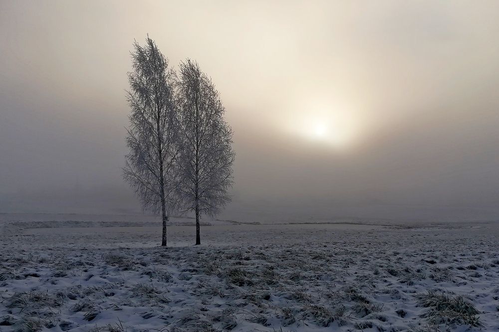 Найти выход