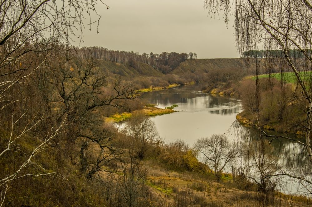 Осенние рисунки
