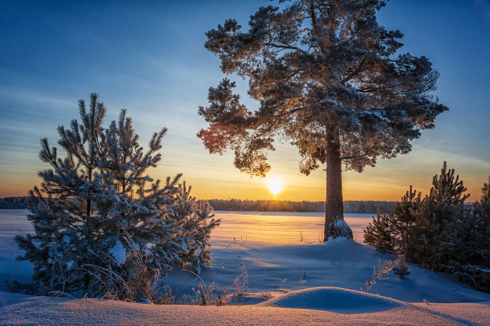 Рождественский вечер