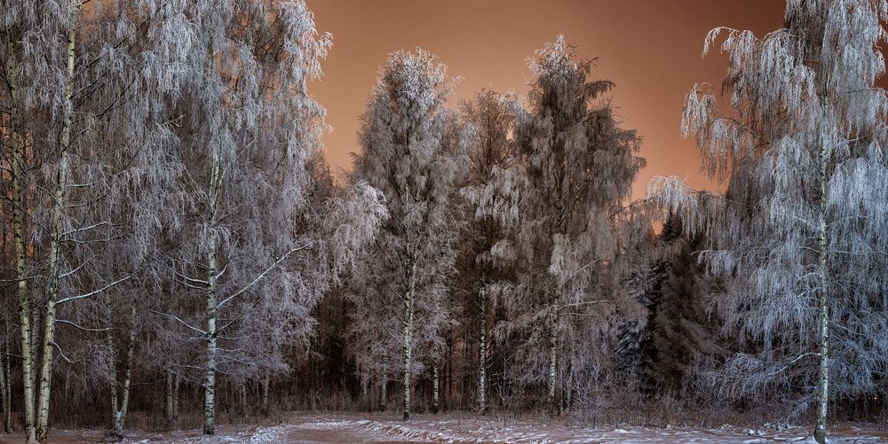 вечерние прогулки