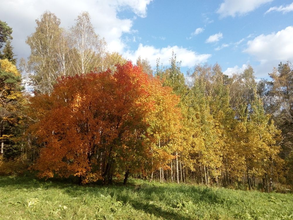 Autumn
