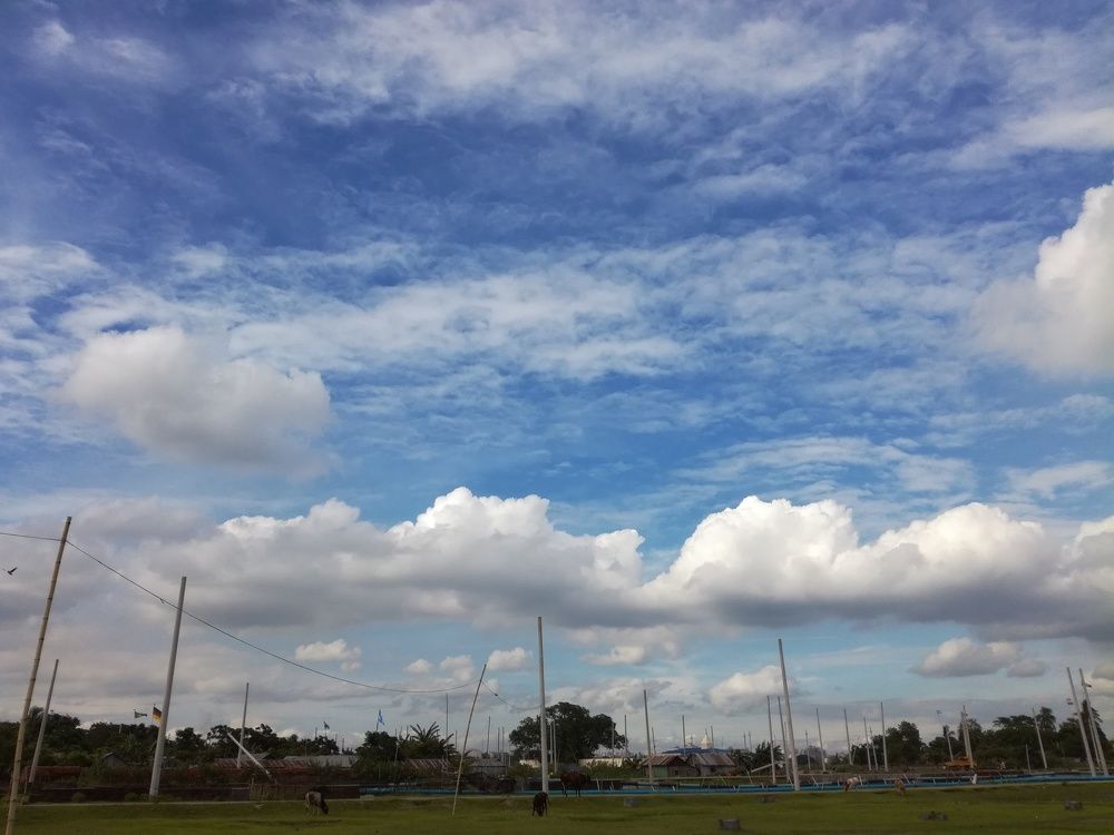 THE CLEAR SKY
