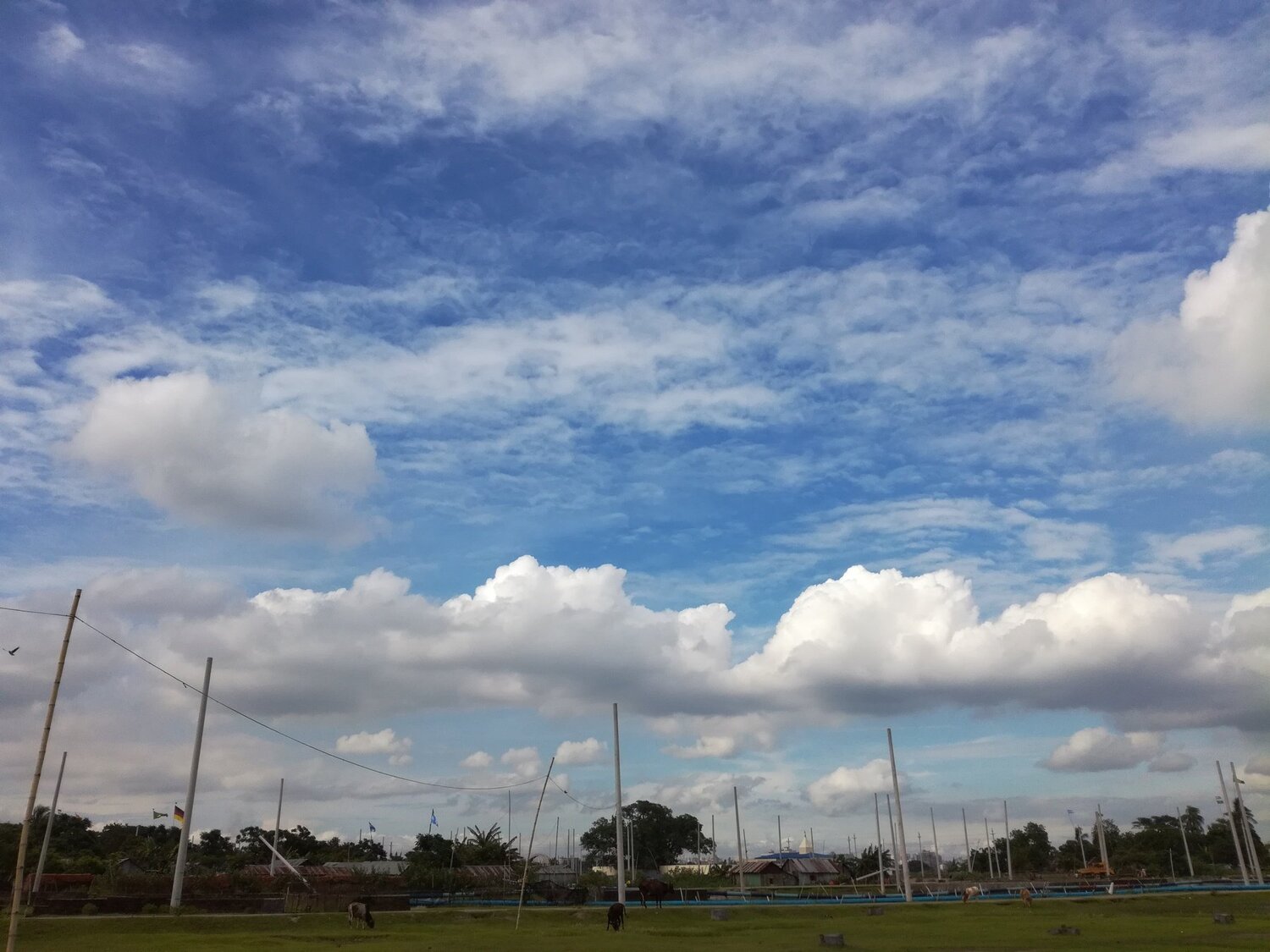 THE CLEAR SKY