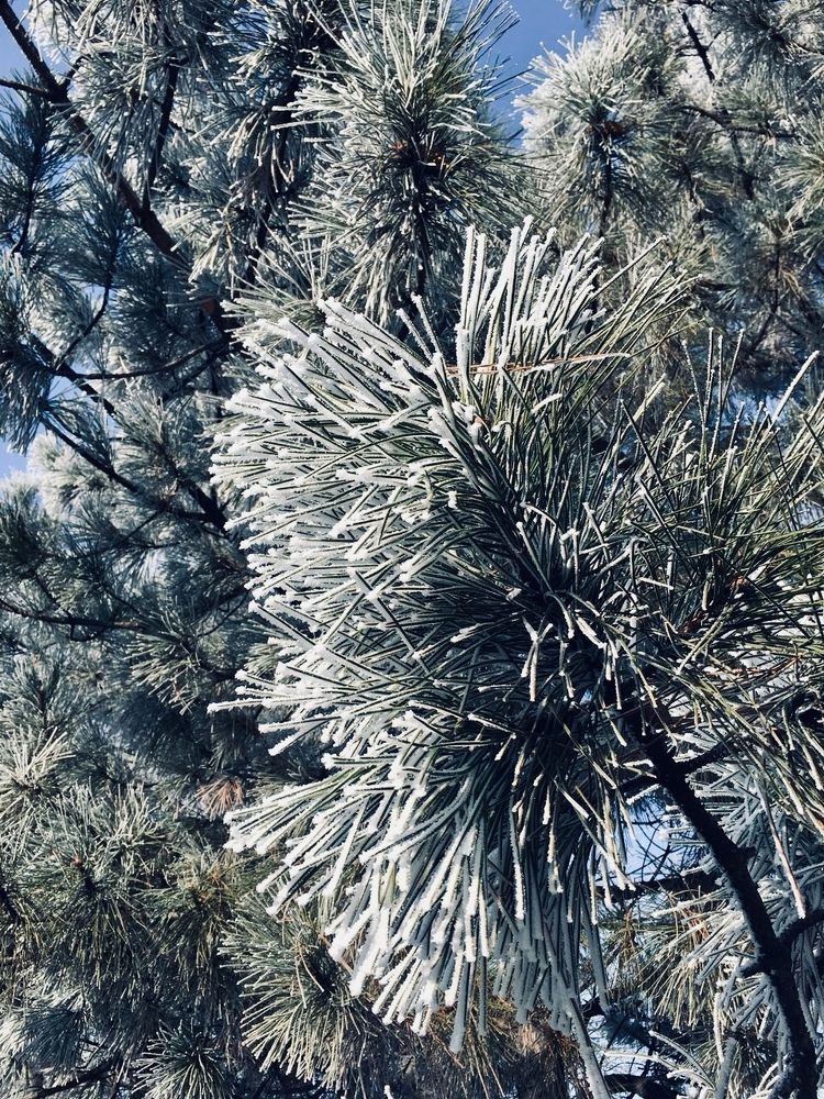 Photograph by Gulcha Zhuravlyova