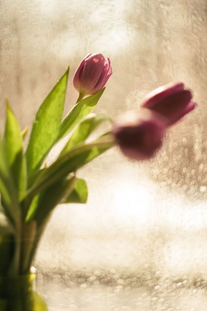 Начало марта