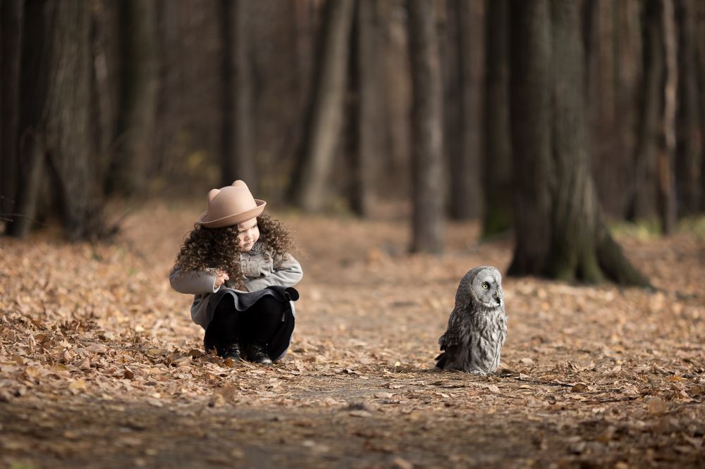 Давай дружить