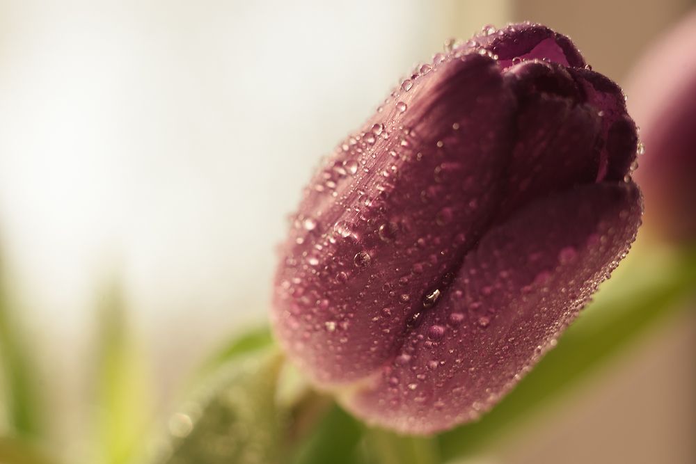 Начало марта