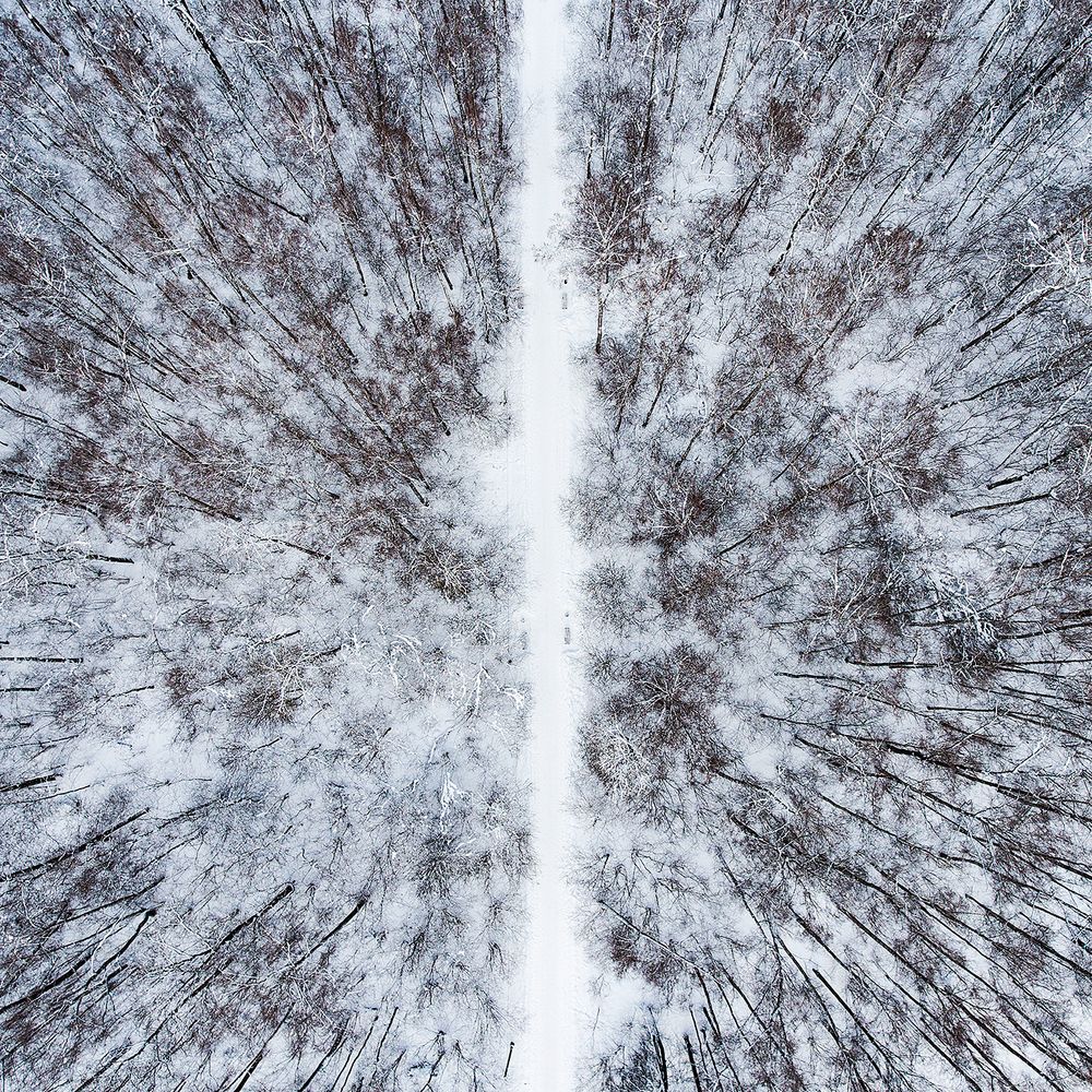 Зимняя графика