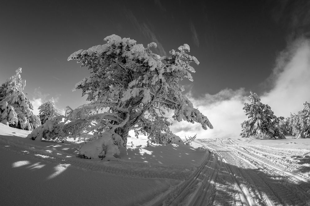 Зима в горах