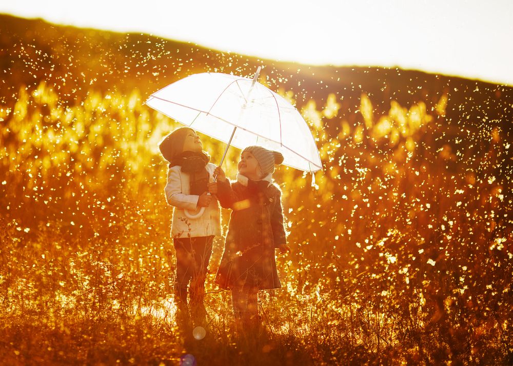 осенние огни