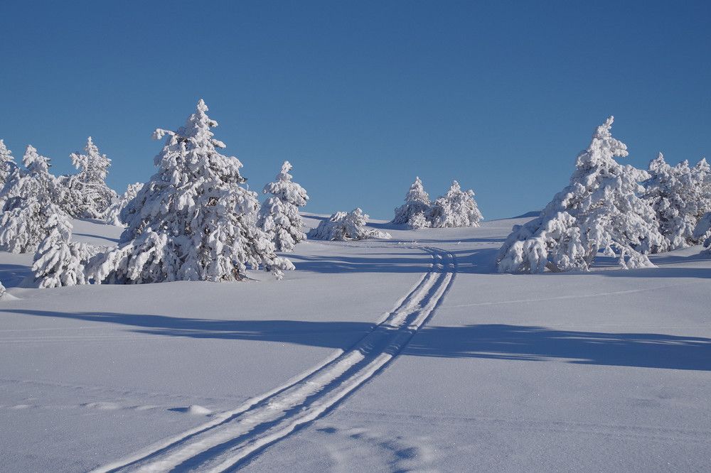 Уголок крымского плато Ай-Петри