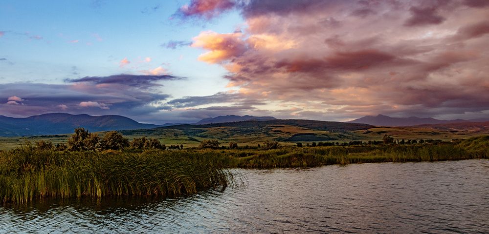 Pink morning / Розовое утро