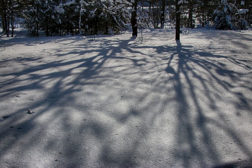 Photograph by Алексей Федулов