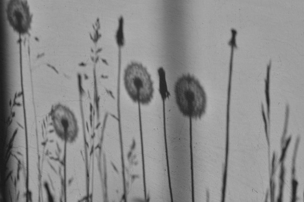 Photograph by Алексей Федулов