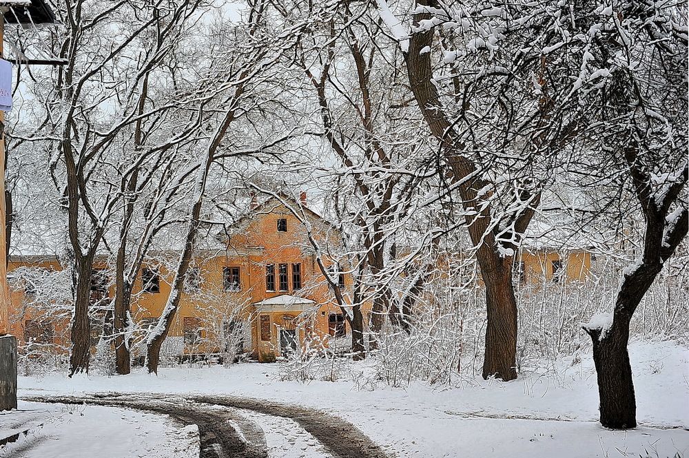 Зимняя зарисовка.