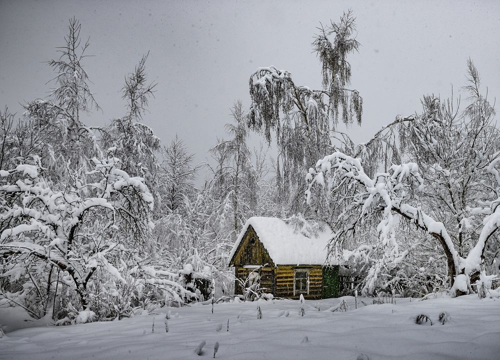 У леса на опушке жила зима в избушке
