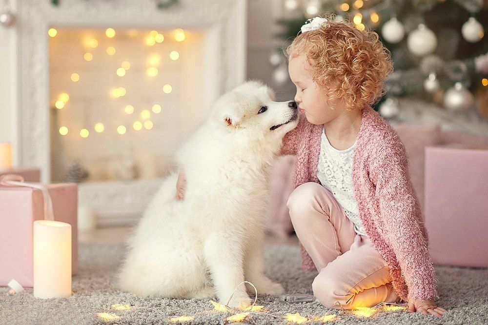 Подружились